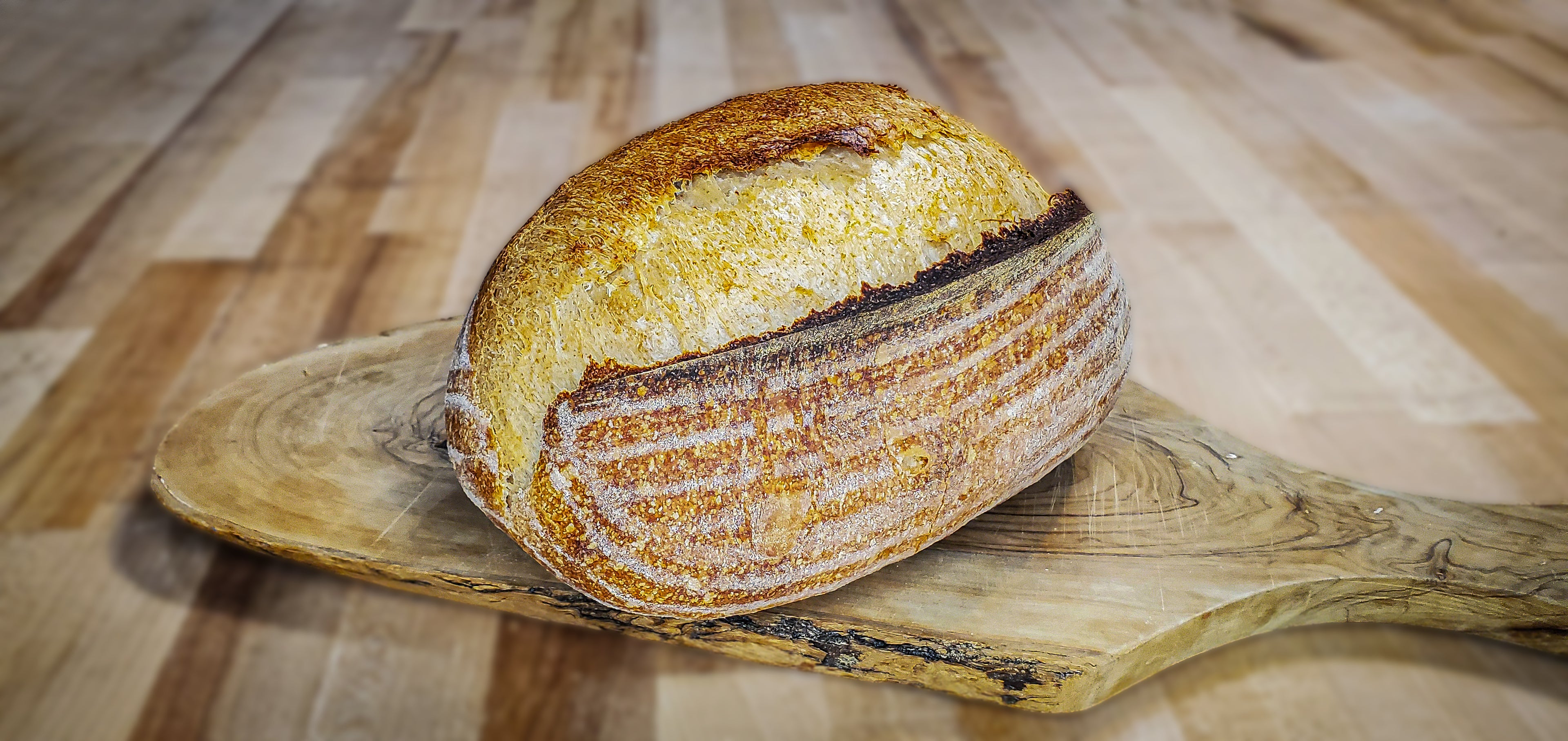 Wheat Sourdough