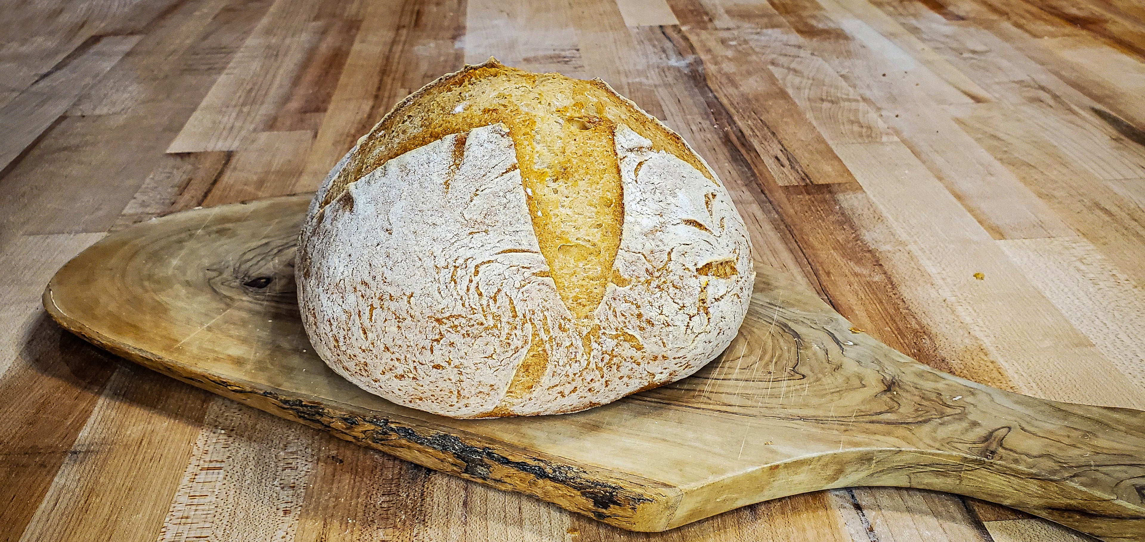 Gluten-Free Sourdough